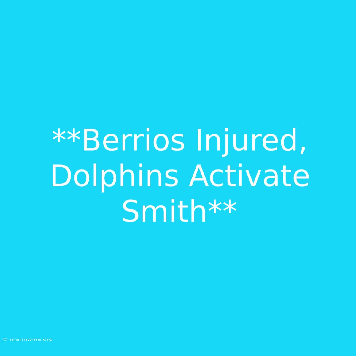 **Berrios Injured, Dolphins Activate Smith**