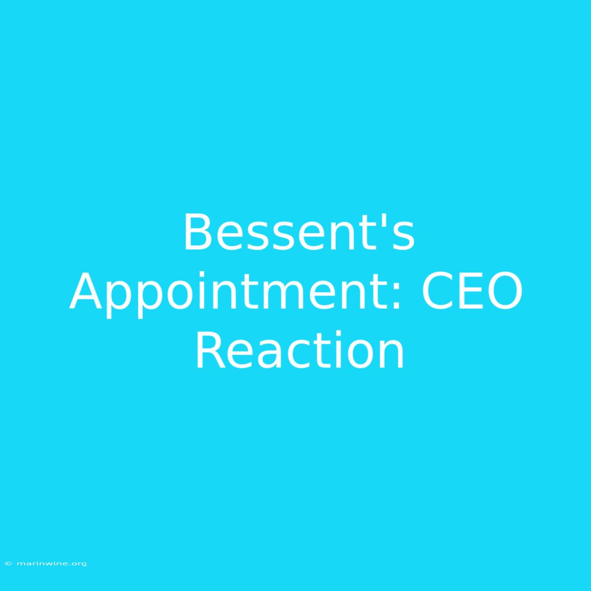 Bessent's Appointment: CEO Reaction