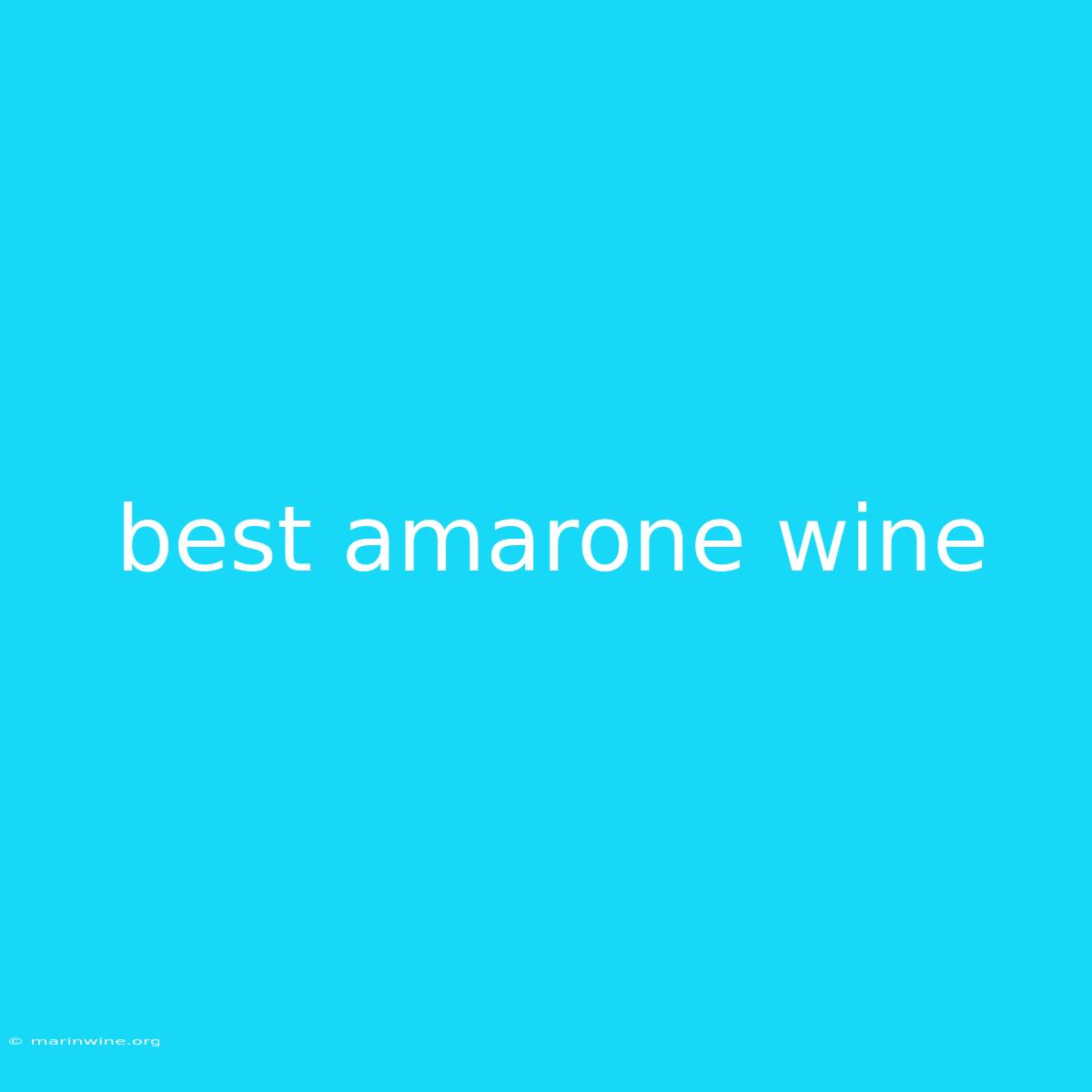 Best Amarone Wine