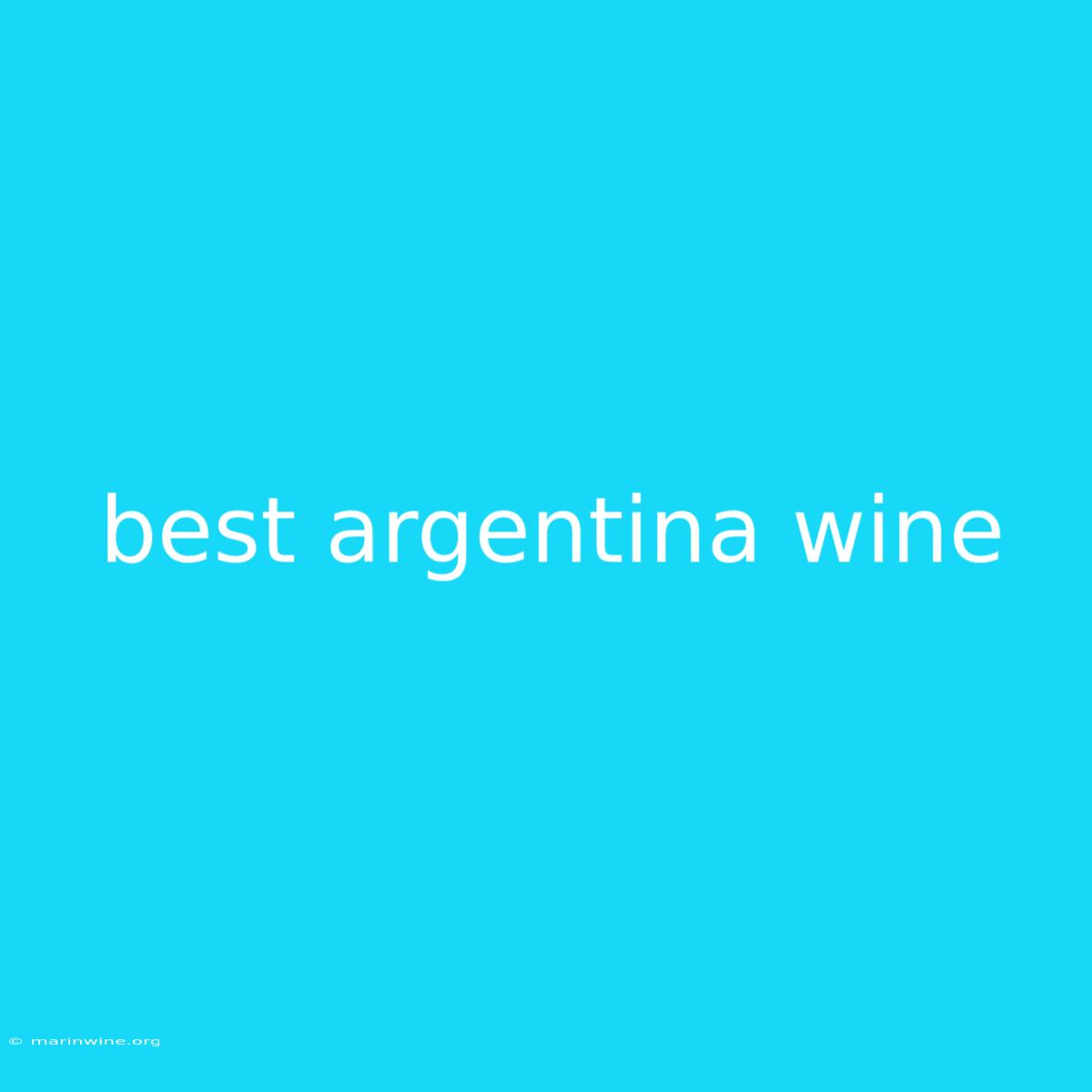 Best Argentina Wine