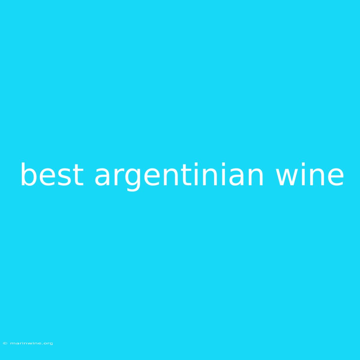 Best Argentinian Wine