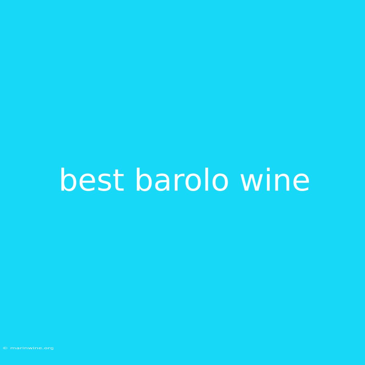 Best Barolo Wine