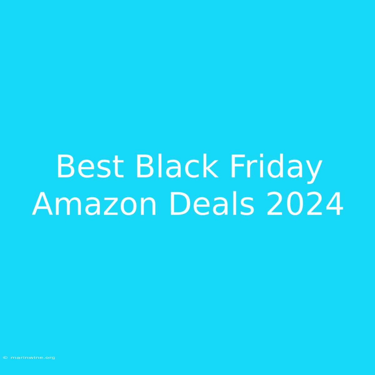 Best Black Friday Amazon Deals 2024