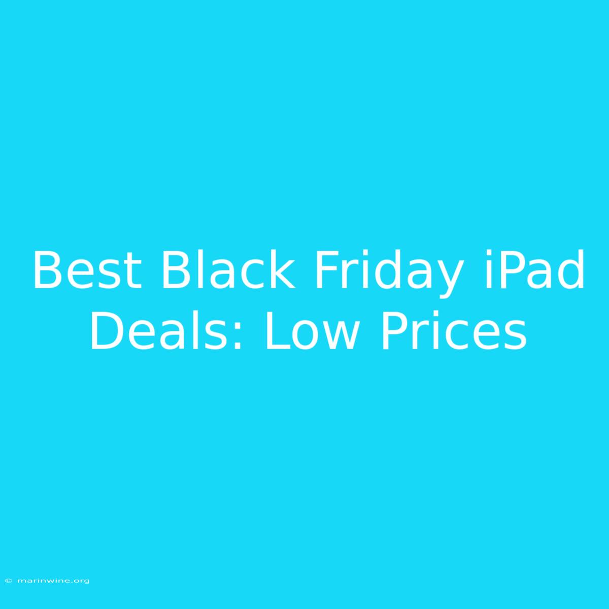 Best Black Friday IPad Deals: Low Prices