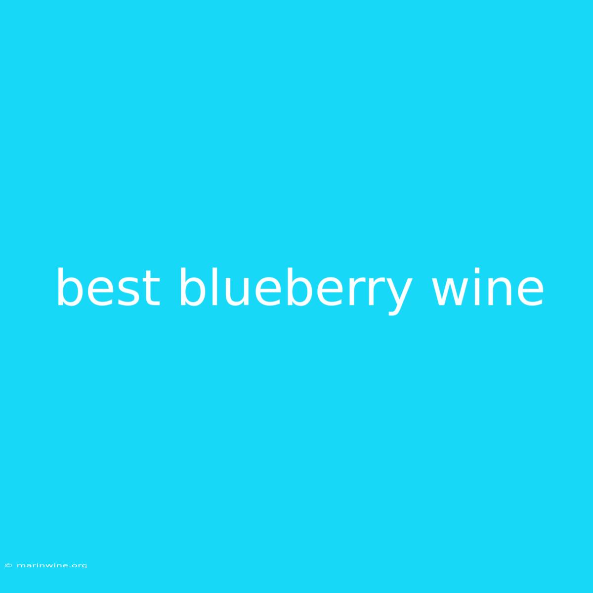 Best Blueberry Wine