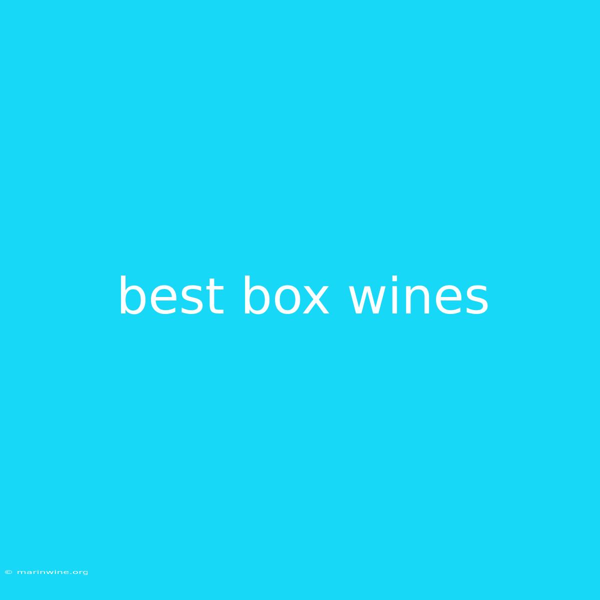 Best Box Wines