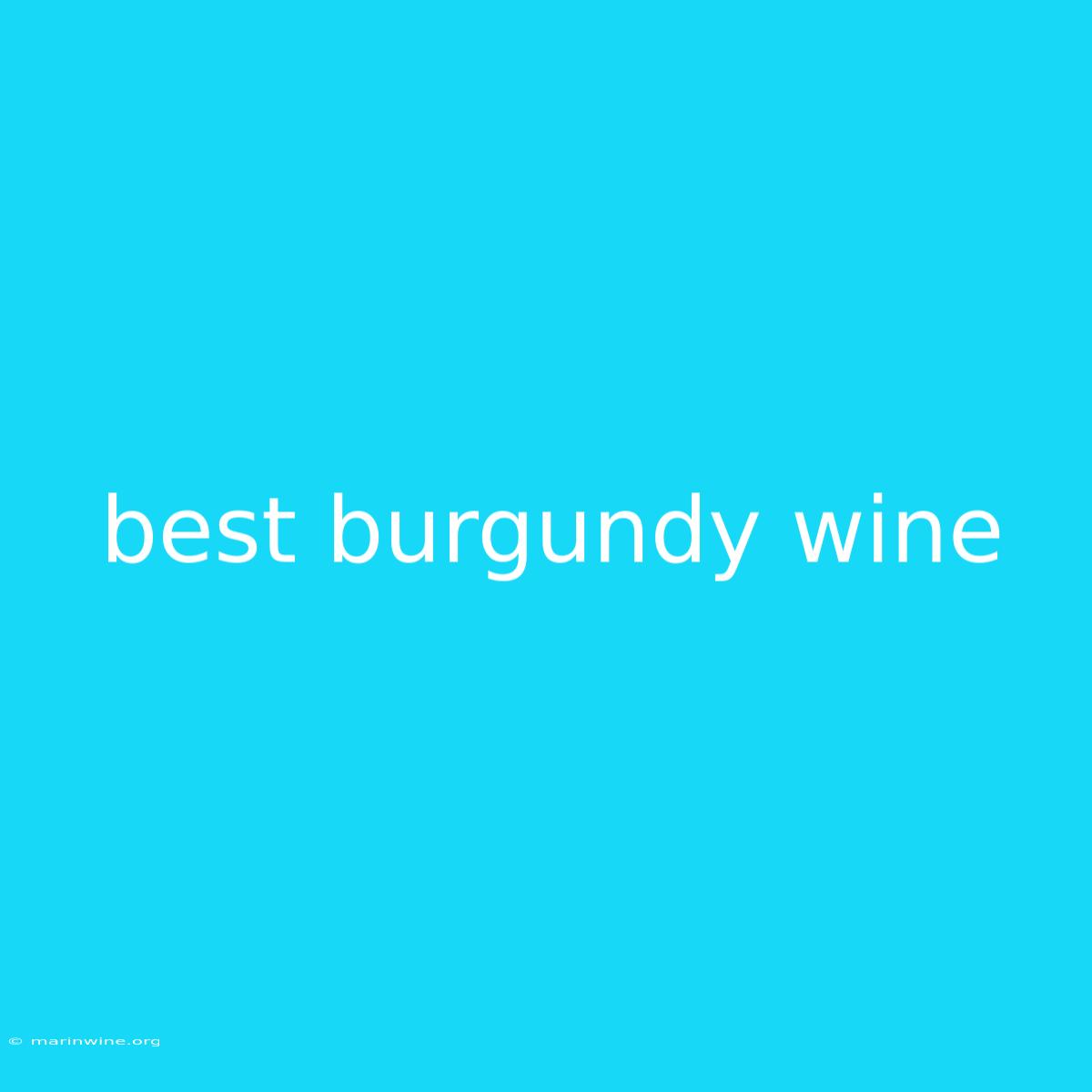 Best Burgundy Wine