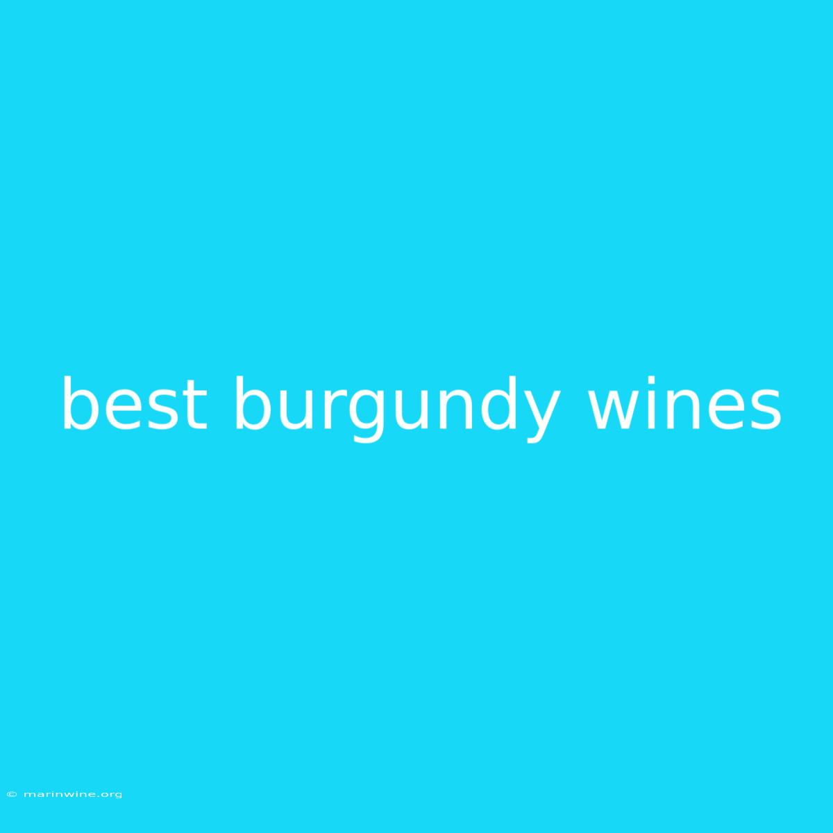 Best Burgundy Wines