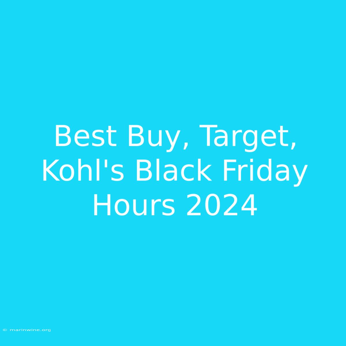 Best Buy, Target, Kohl's Black Friday Hours 2024