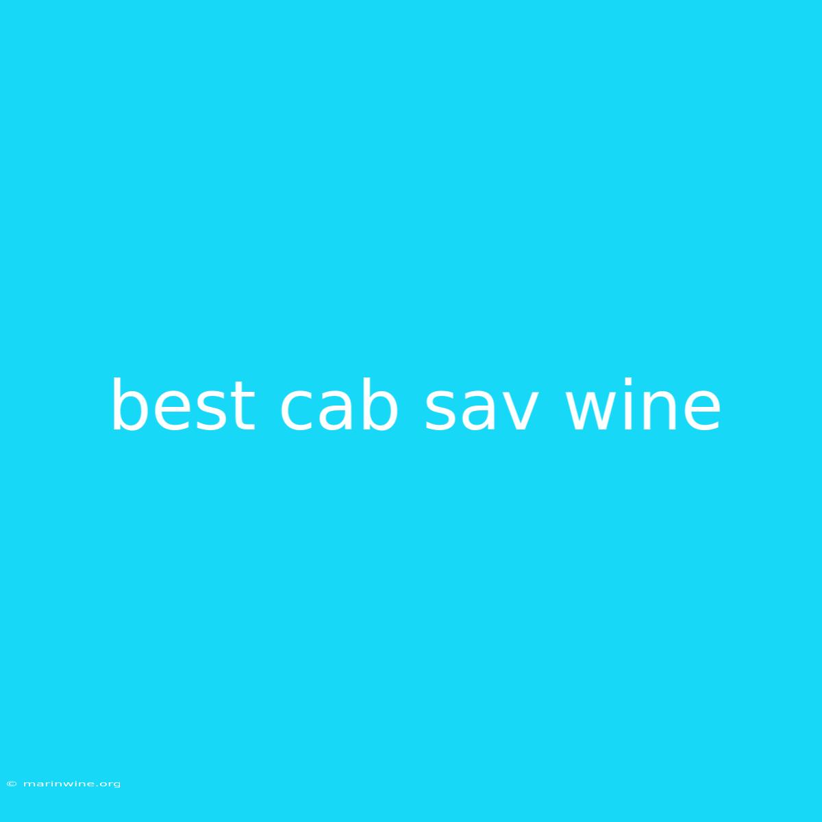 Best Cab Sav Wine