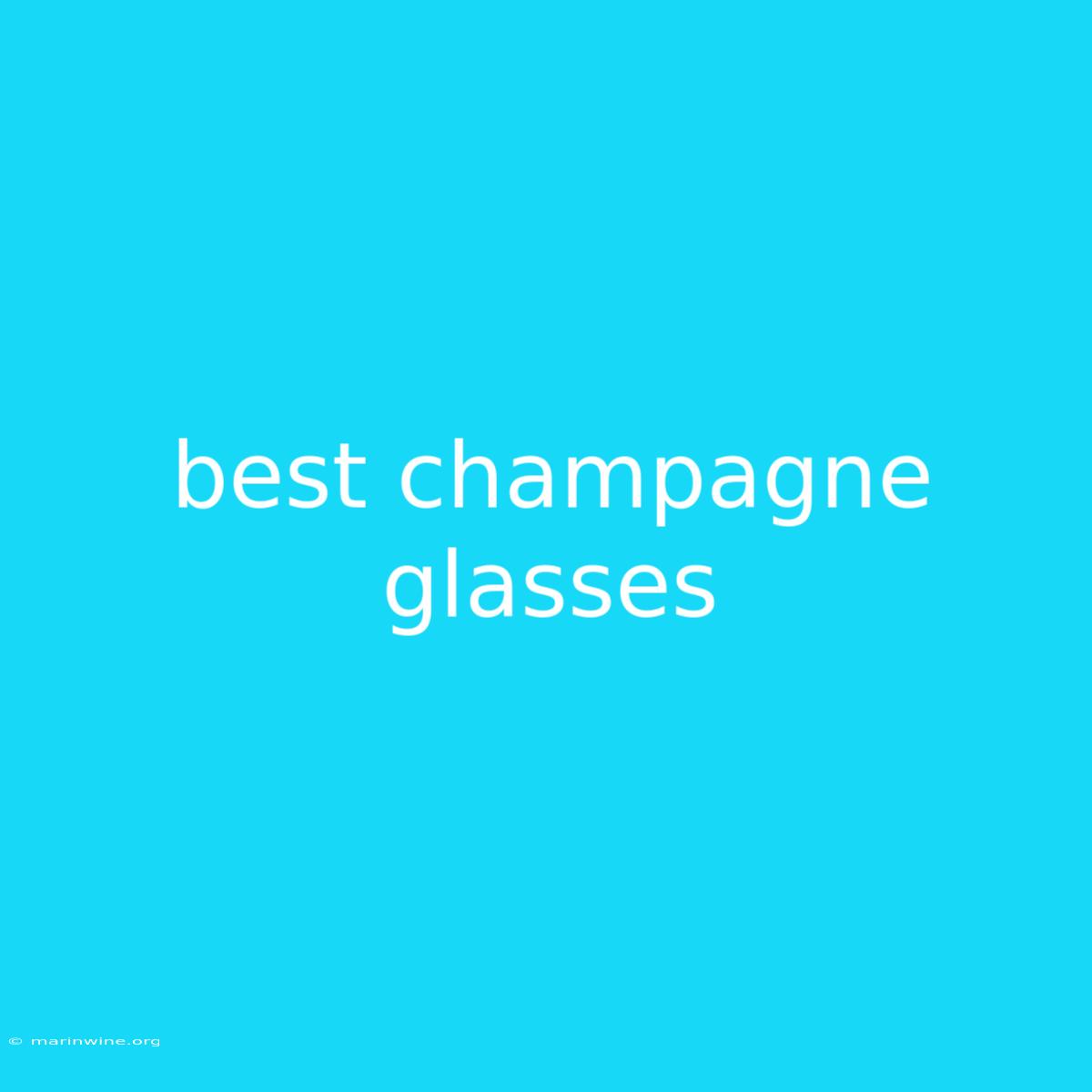 Best Champagne Glasses