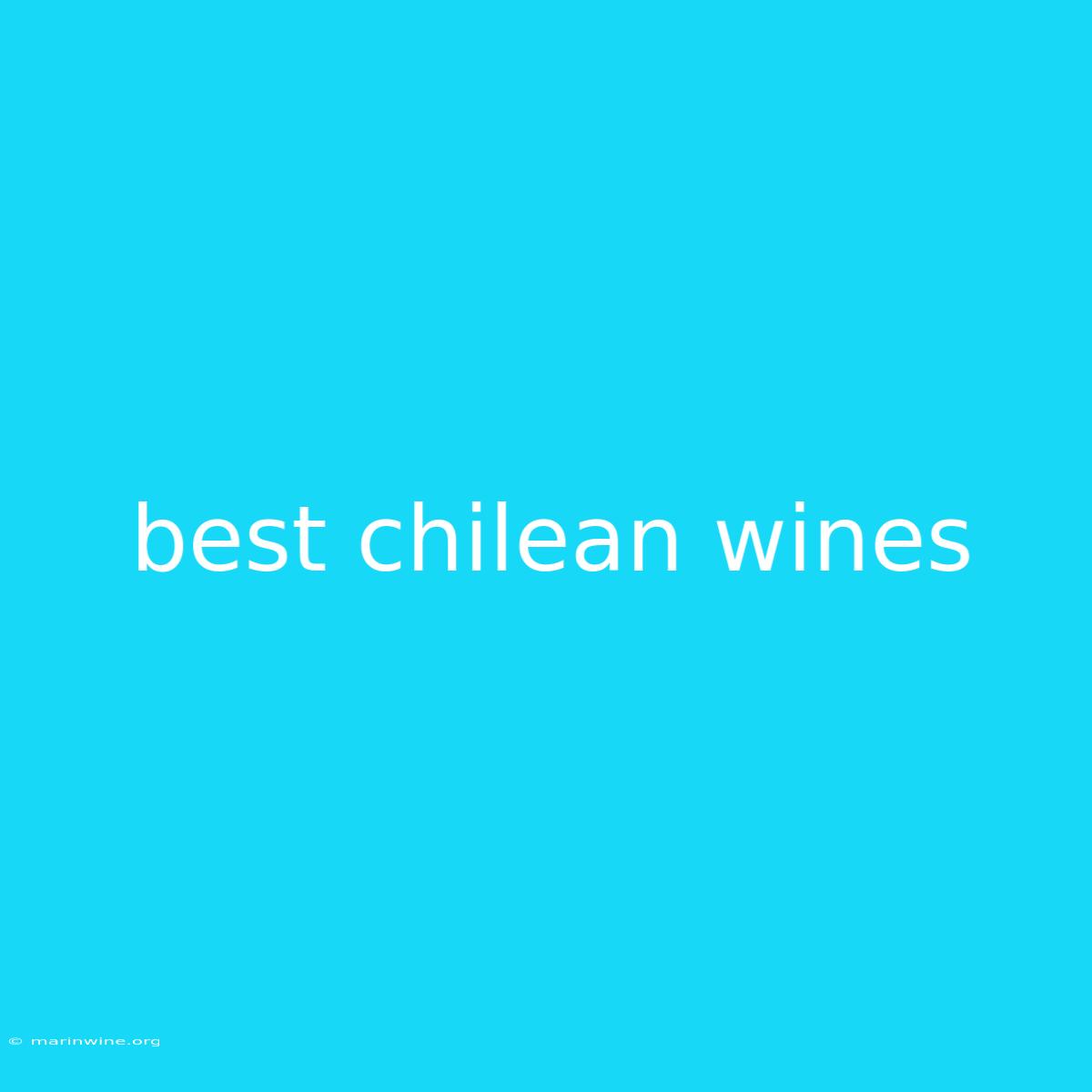 Best Chilean Wines