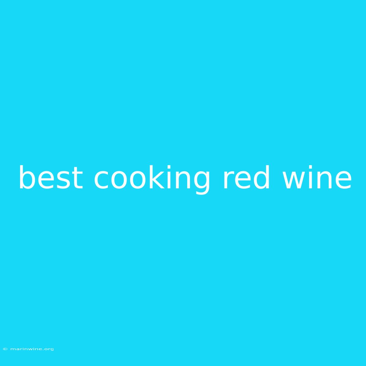 Best Cooking Red Wine