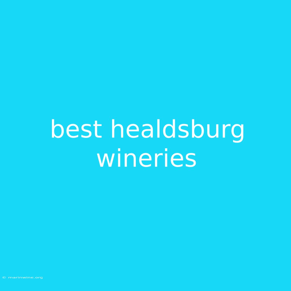 Best Healdsburg Wineries