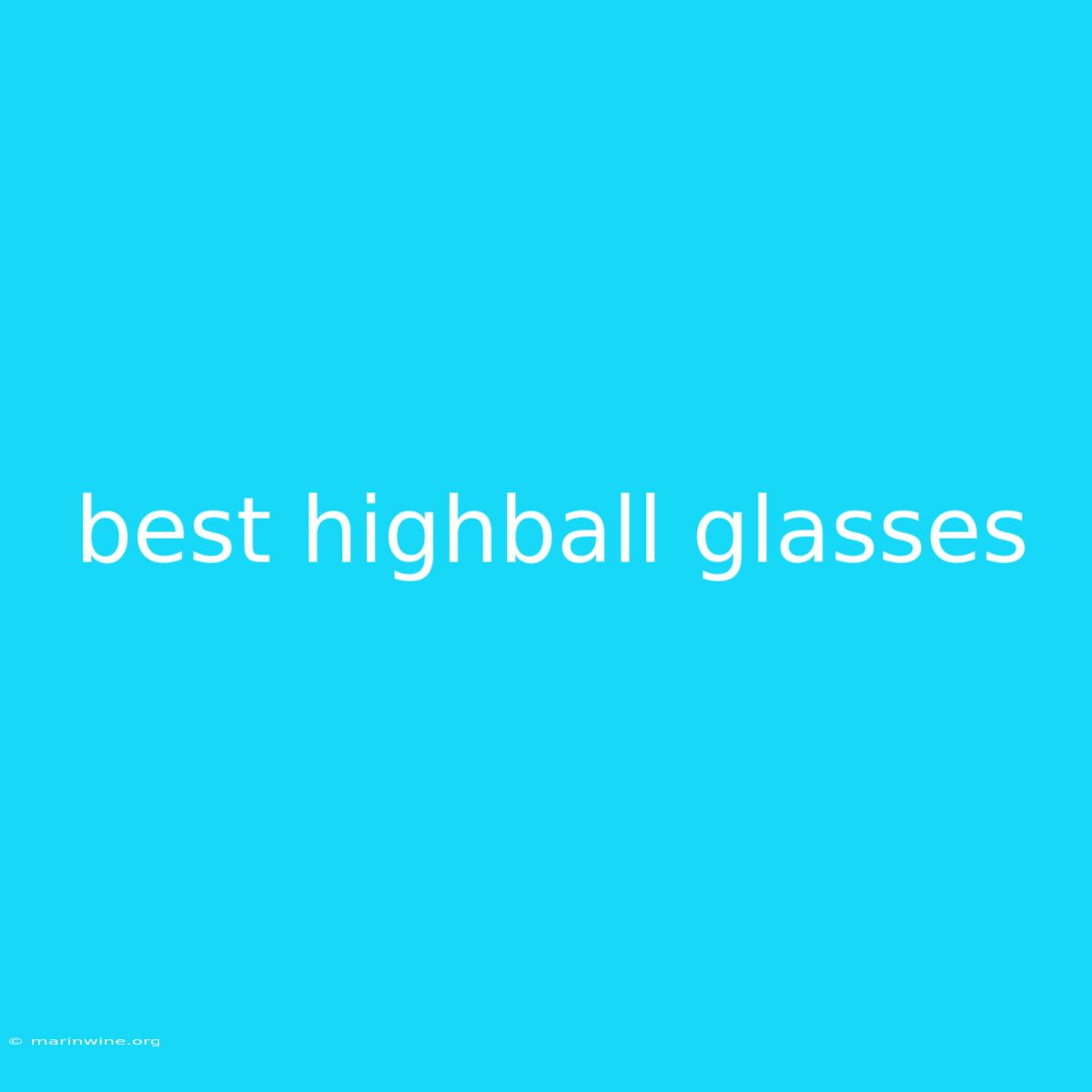 Best Highball Glasses