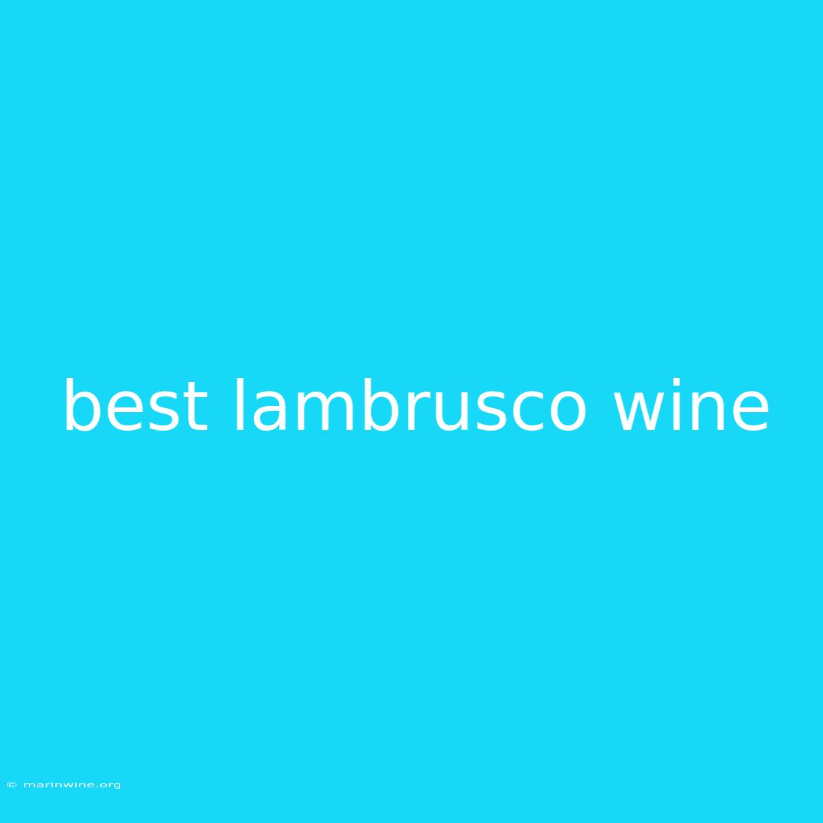 Best Lambrusco Wine