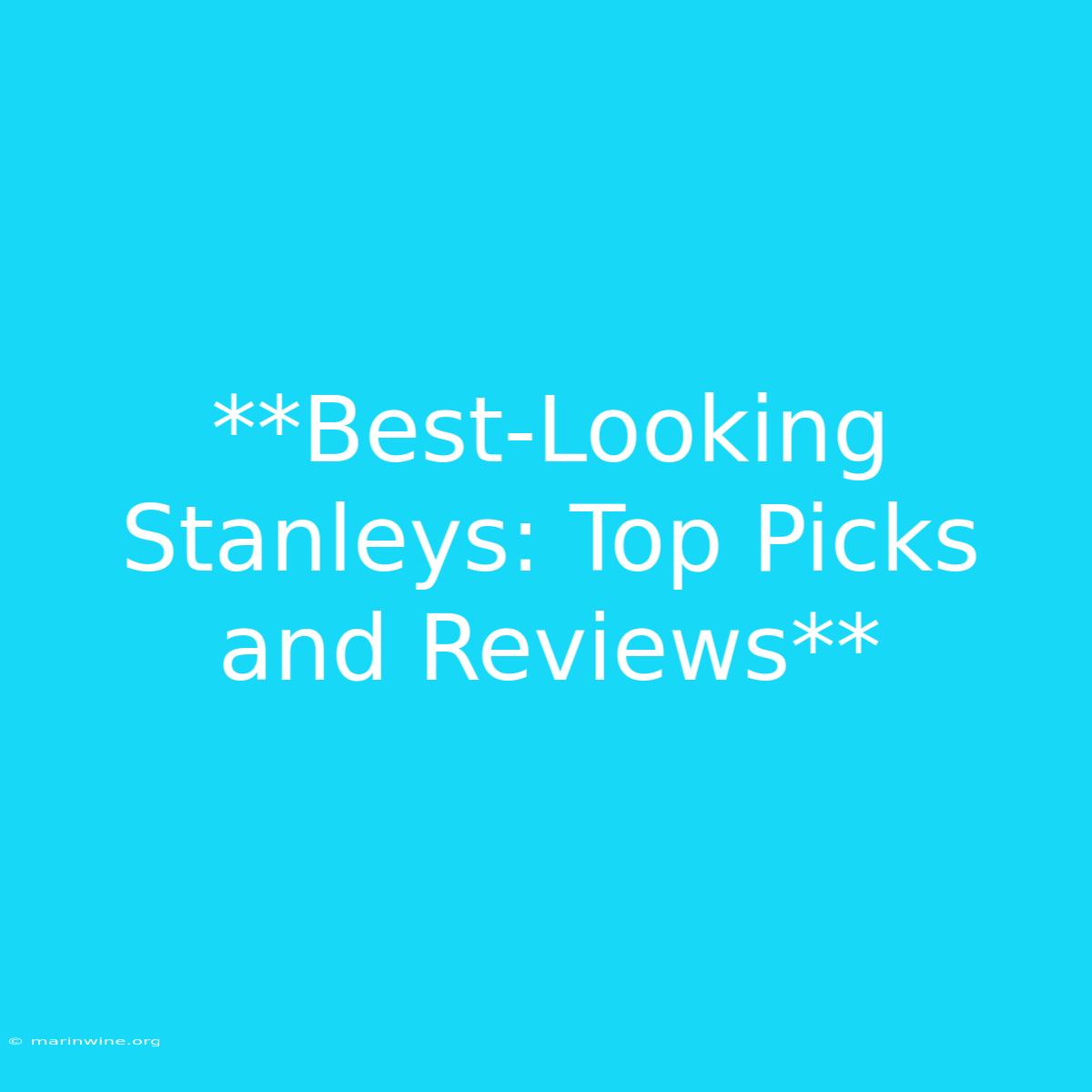 **Best-Looking Stanleys: Top Picks And Reviews** 