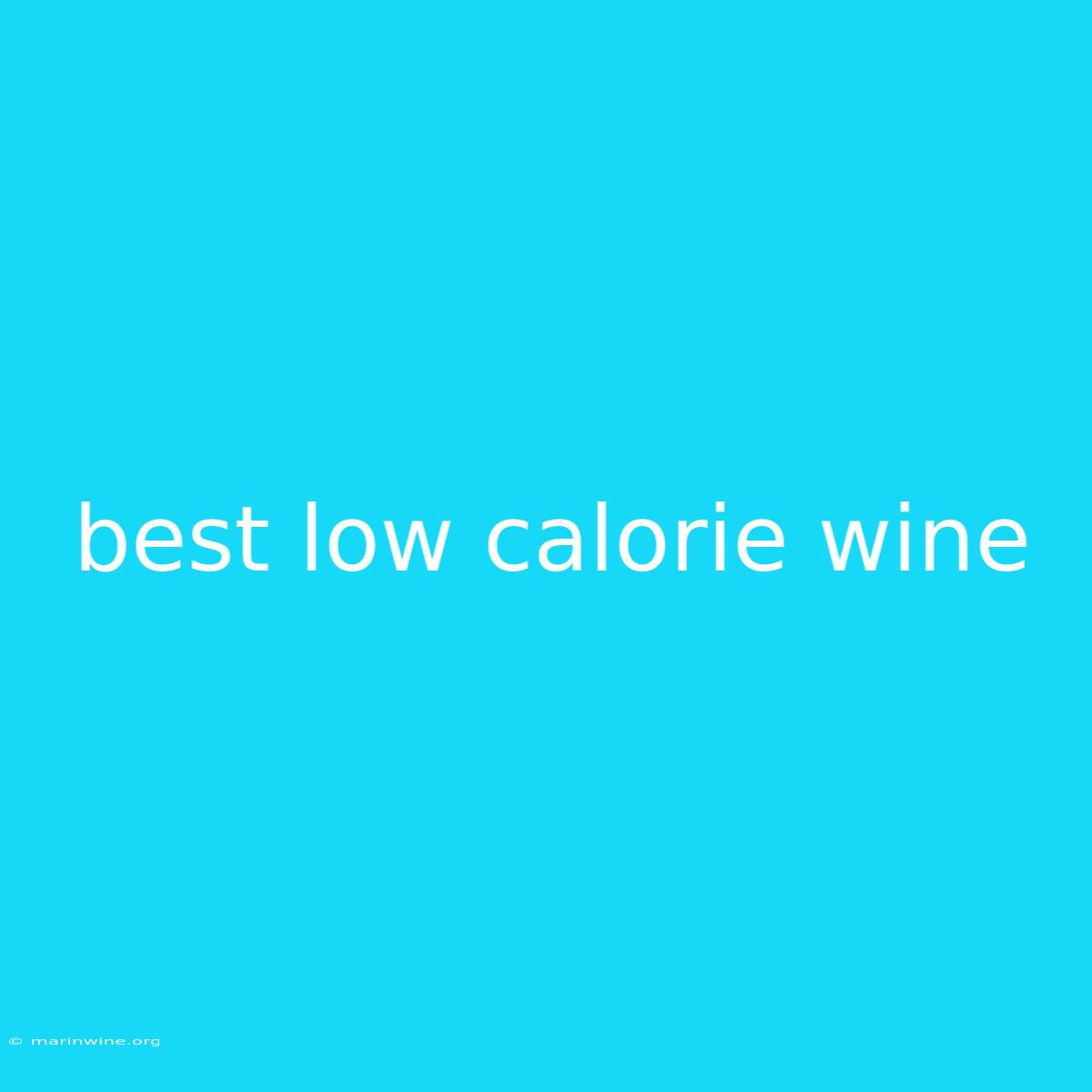 Best Low Calorie Wine