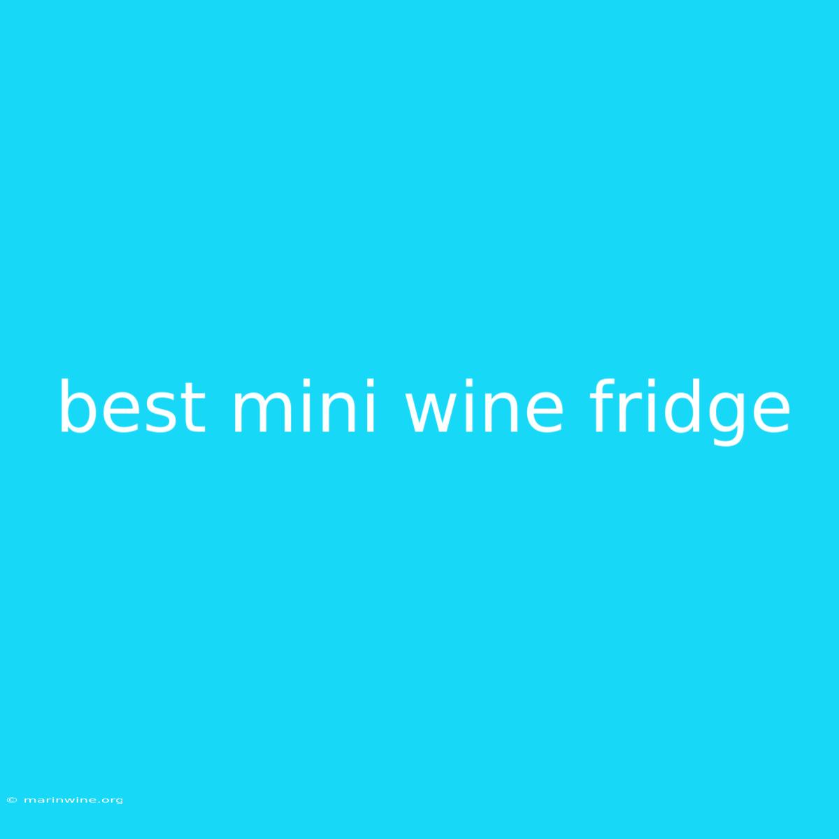 Best Mini Wine Fridge