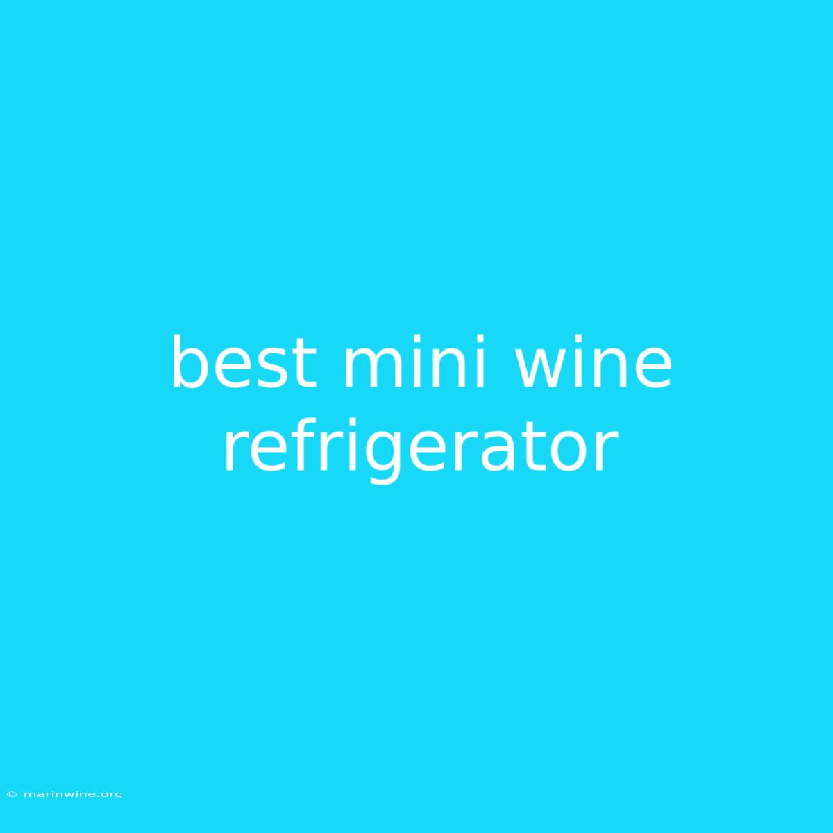 Best Mini Wine Refrigerator