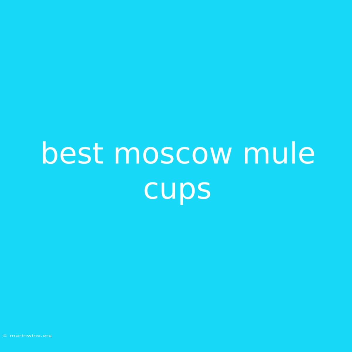 Best Moscow Mule Cups