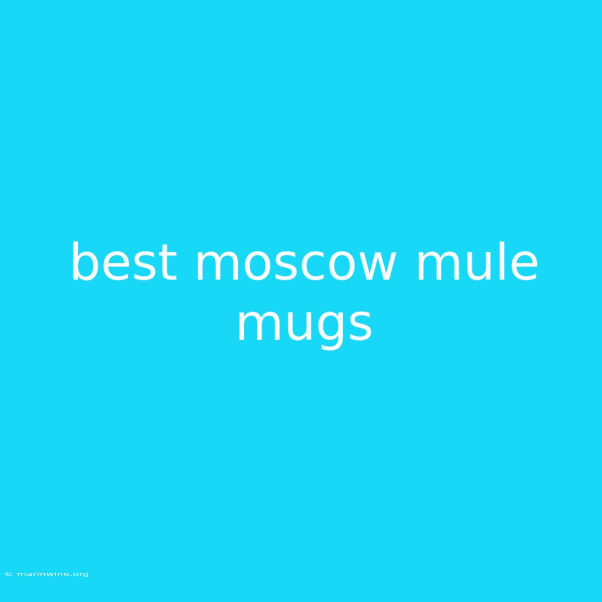 Best Moscow Mule Mugs