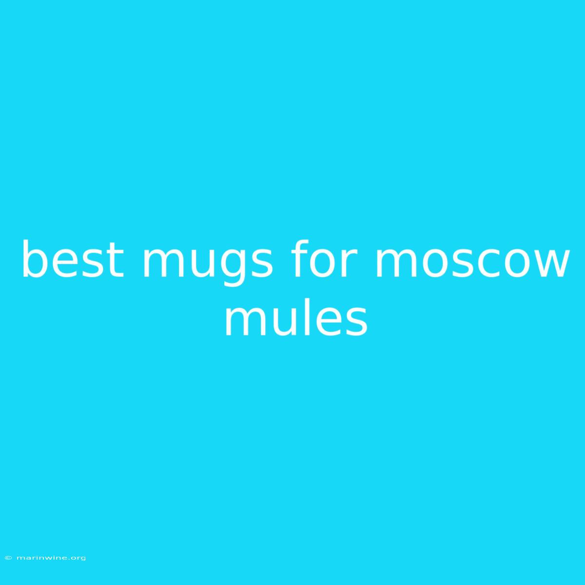 Best Mugs For Moscow Mules