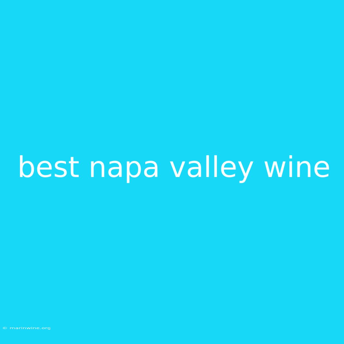 Best Napa Valley Wine