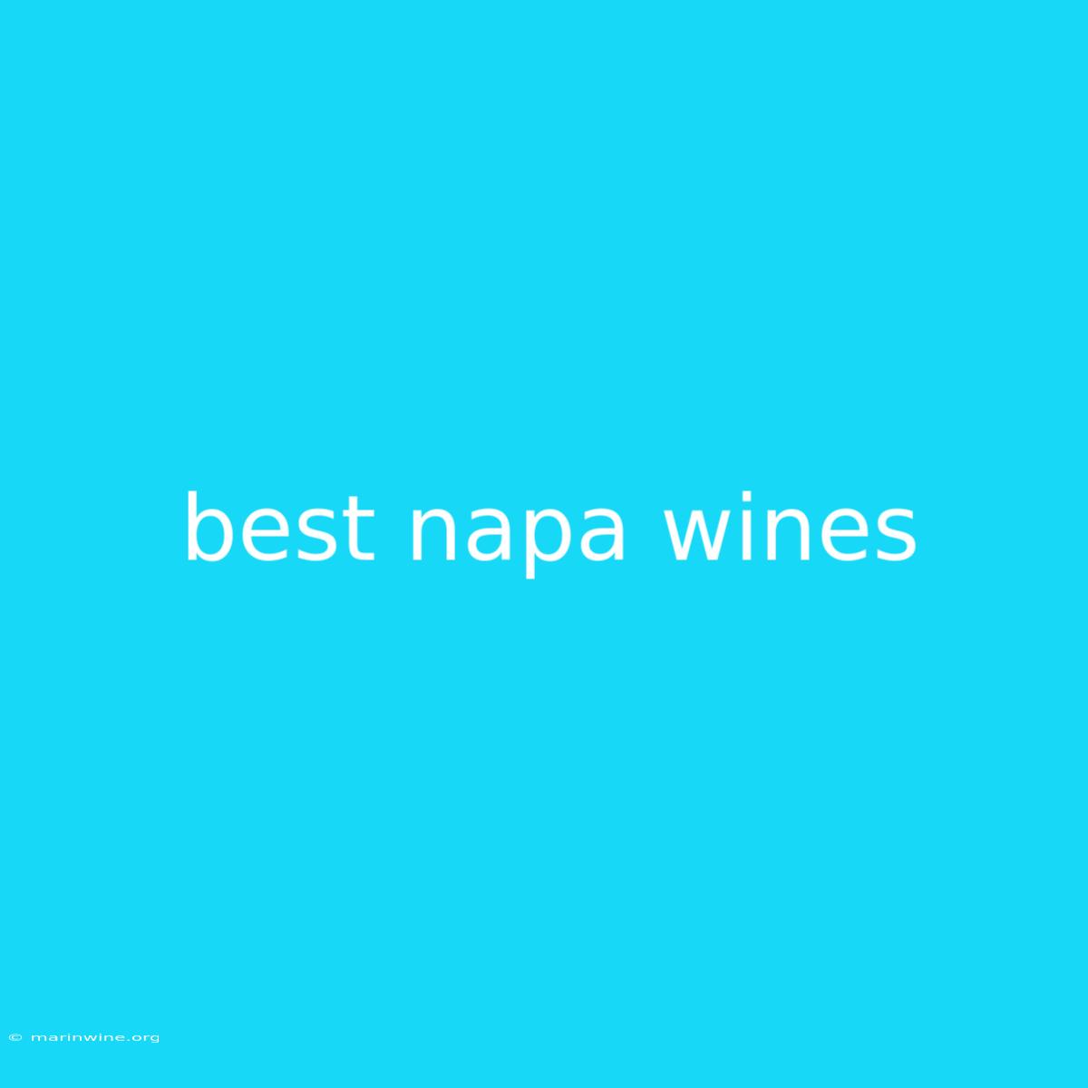 Best Napa Wines