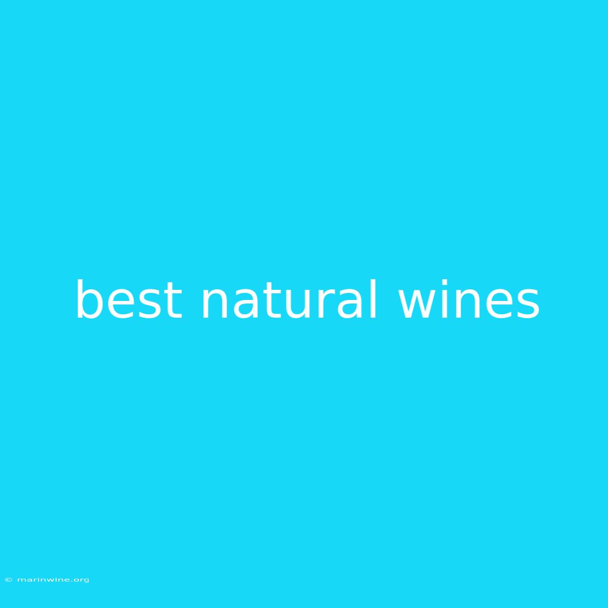 Best Natural Wines