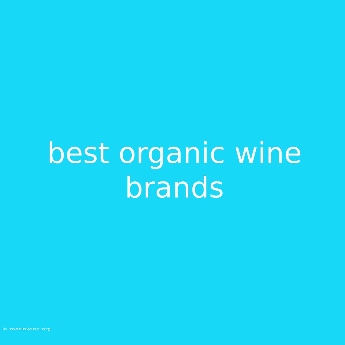 Best Organic Wine Brands