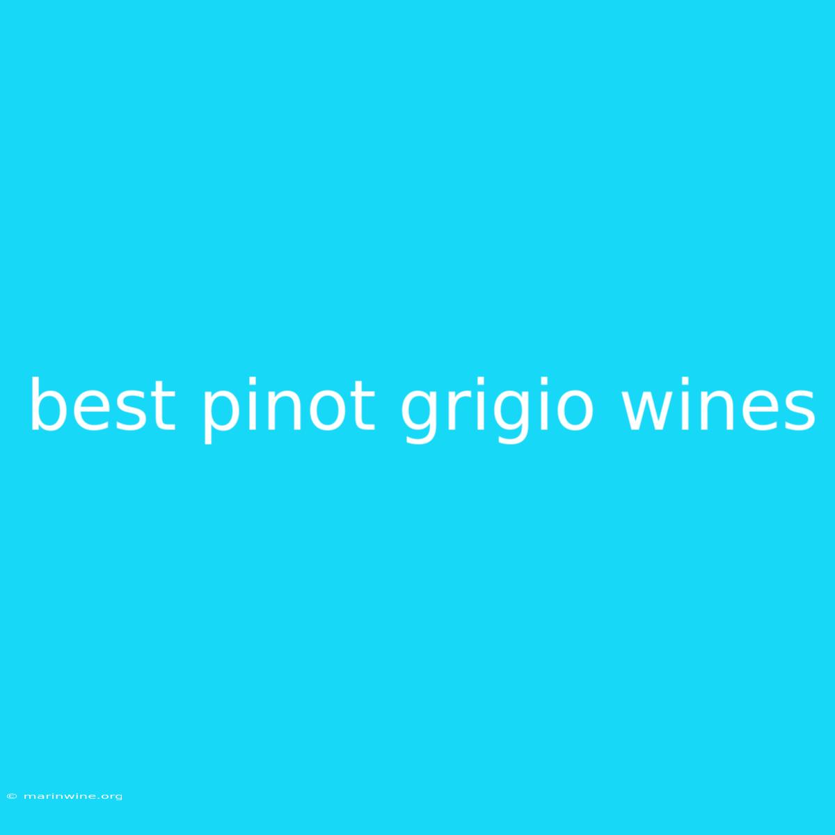 Best Pinot Grigio Wines