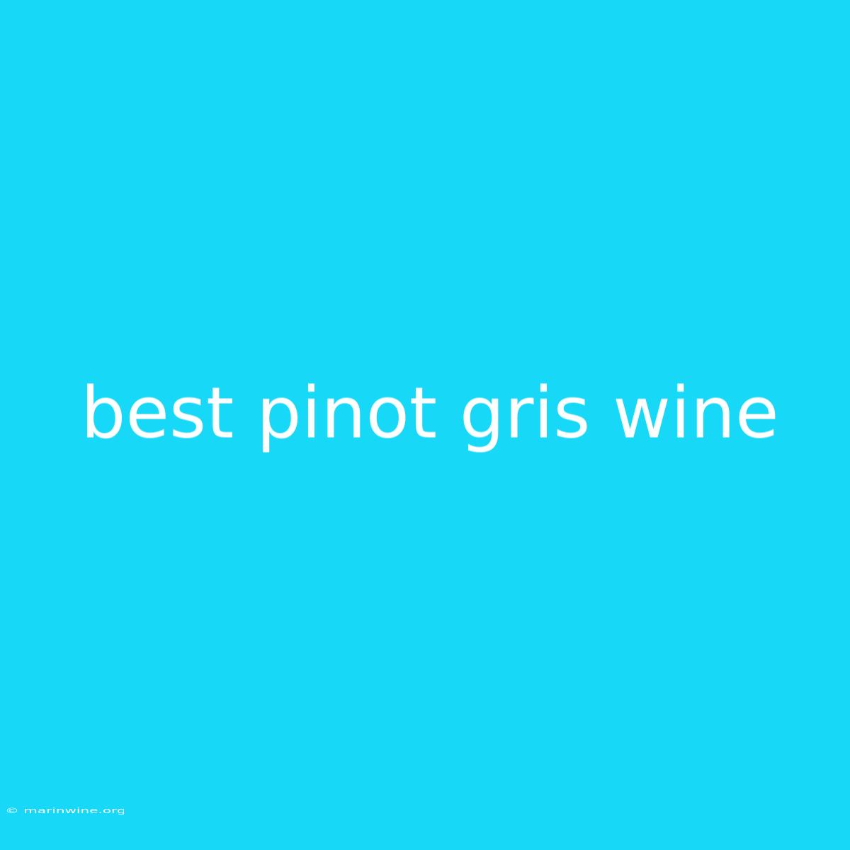 Best Pinot Gris Wine