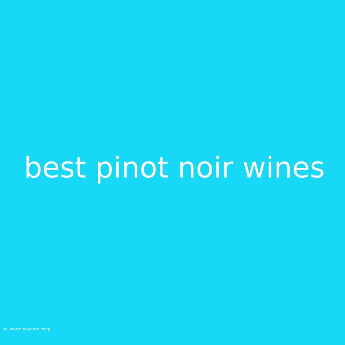 Best Pinot Noir Wines