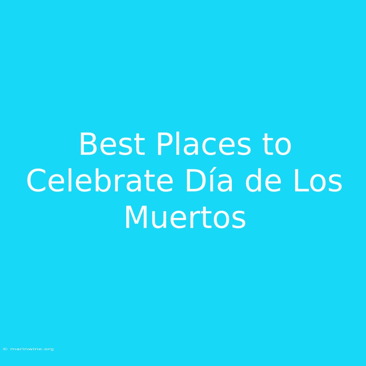 Best Places To Celebrate Día De Los Muertos