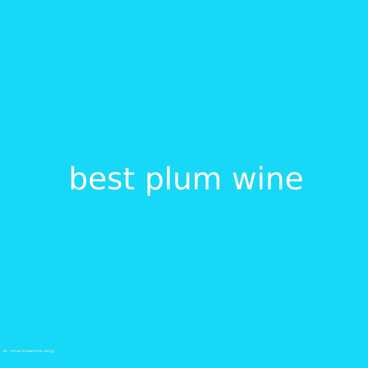 Best Plum Wine