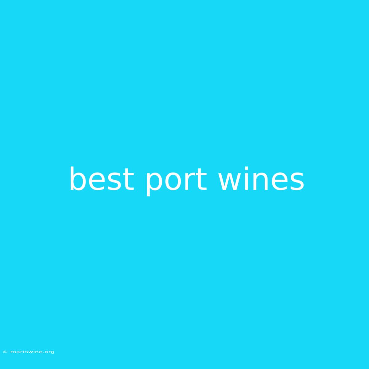 Best Port Wines