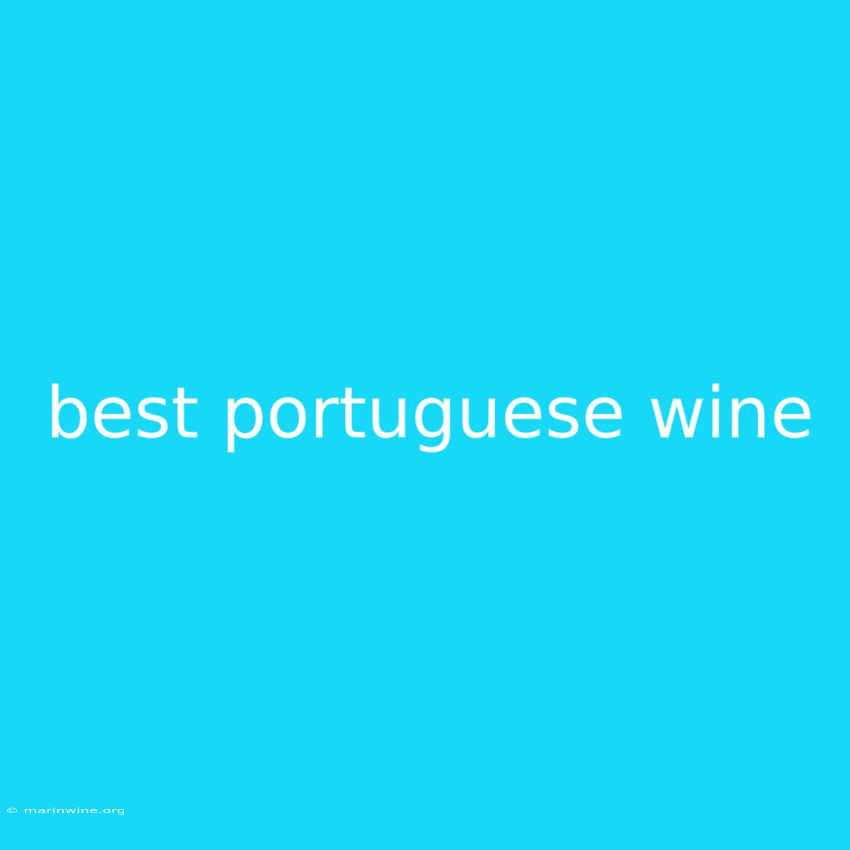 Best Portuguese Wine