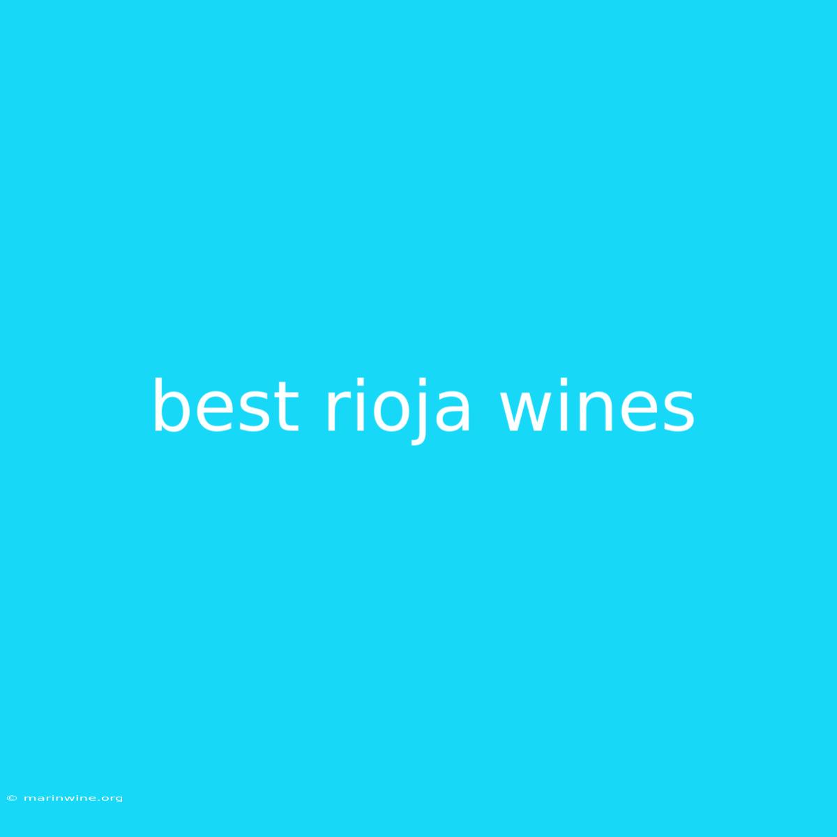 Best Rioja Wines