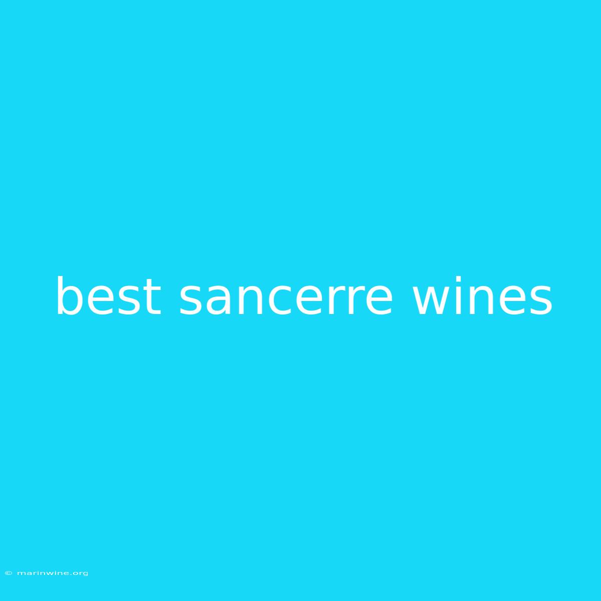 Best Sancerre Wines