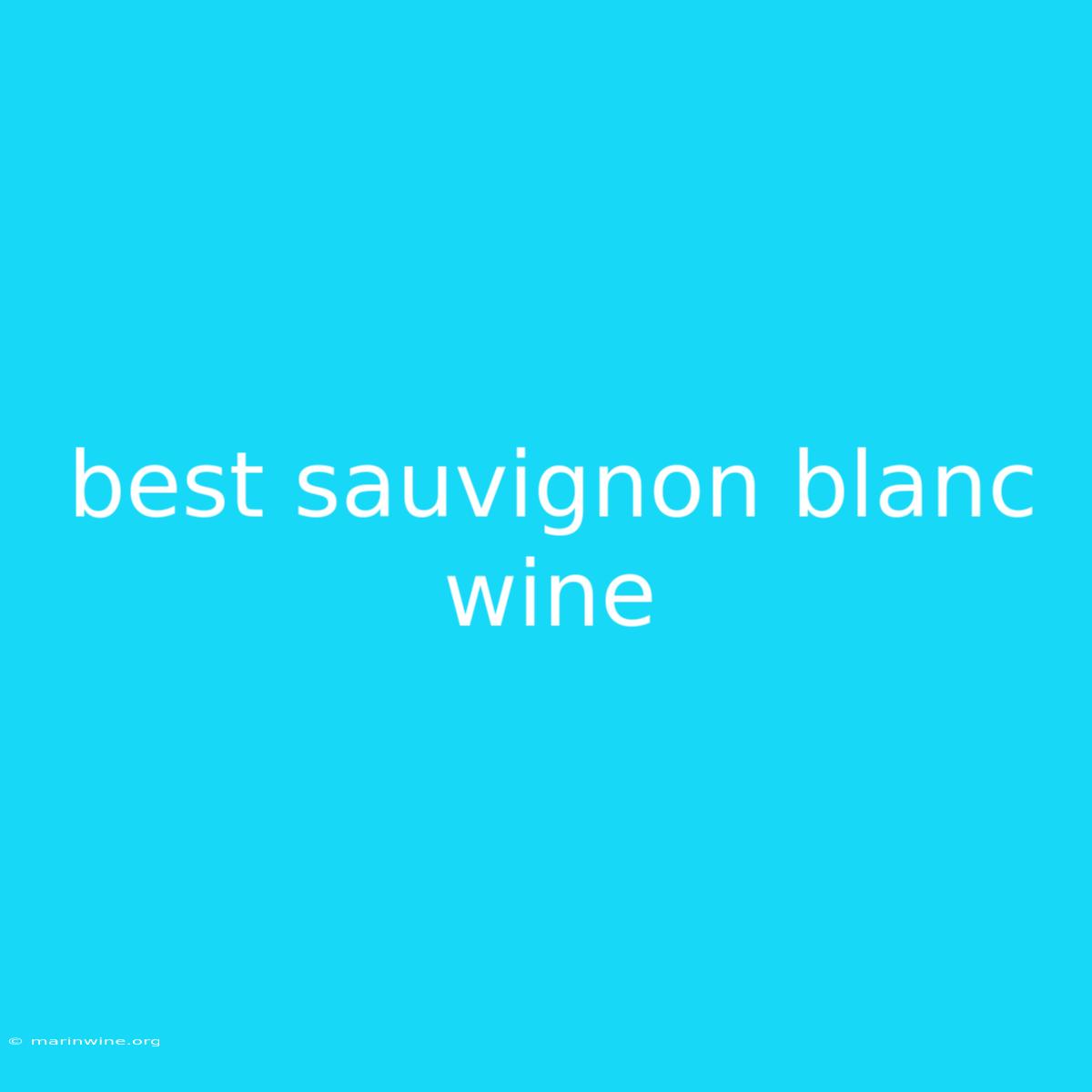 Best Sauvignon Blanc Wine