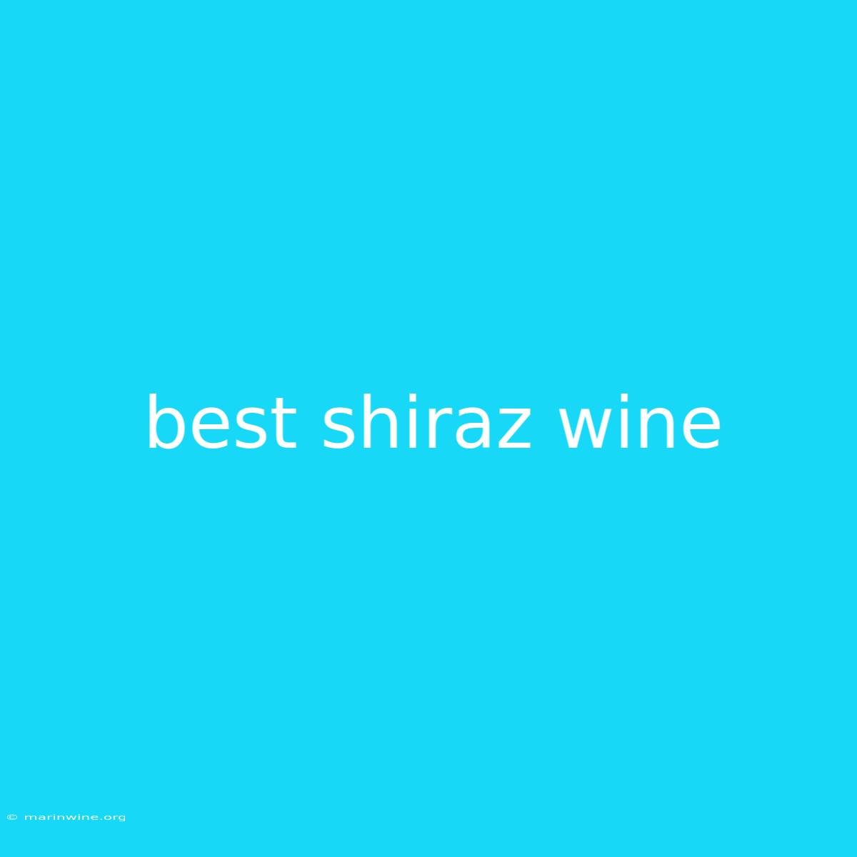 Best Shiraz Wine