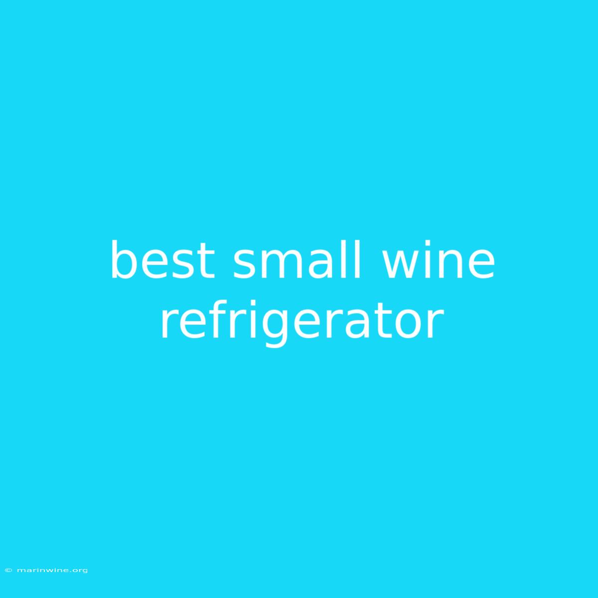 Best Small Wine Refrigerator