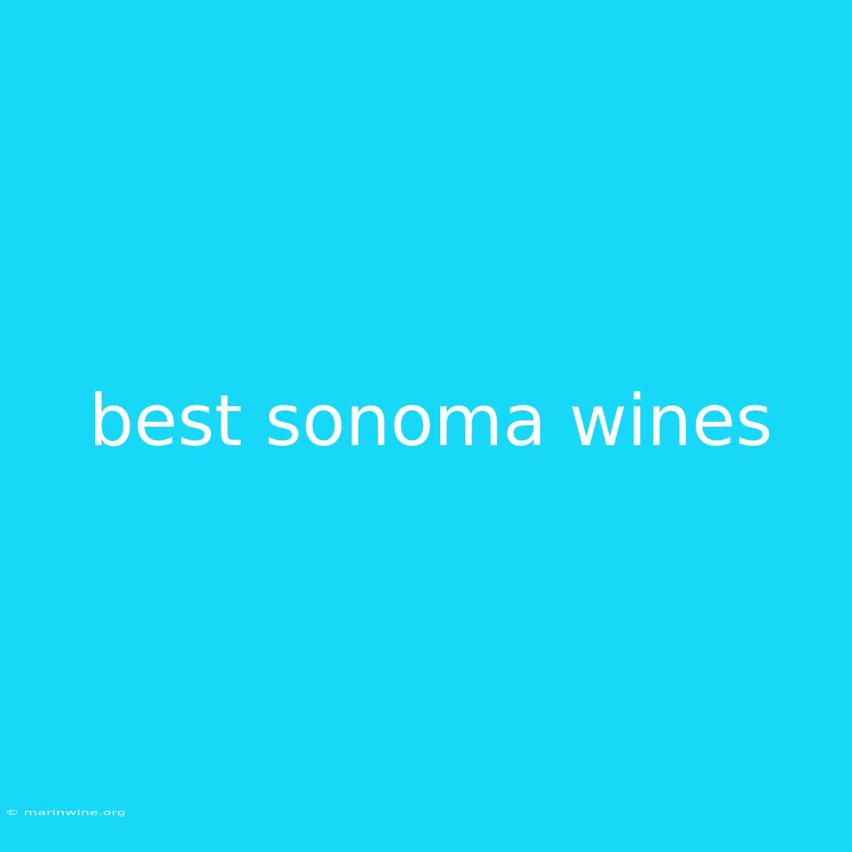 Best Sonoma Wines