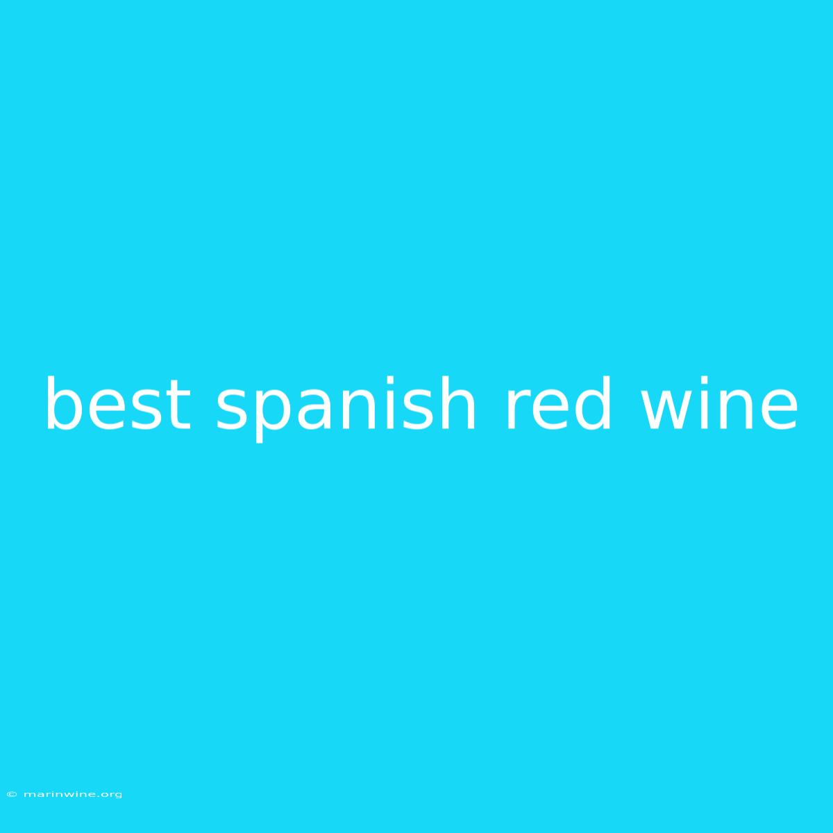 Best Spanish Red Wine