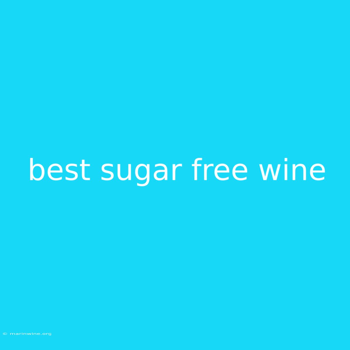 Best Sugar Free Wine