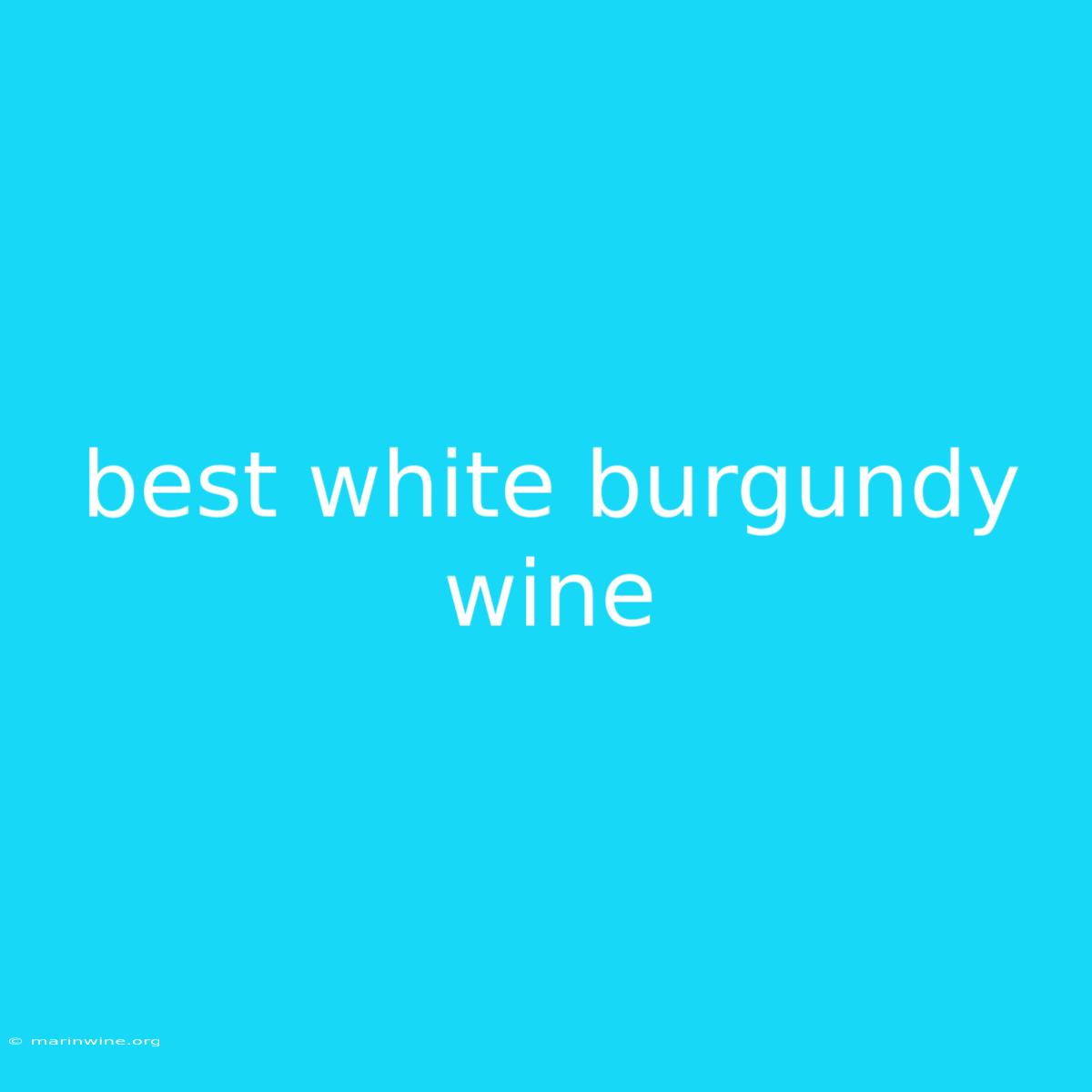 Best White Burgundy Wine