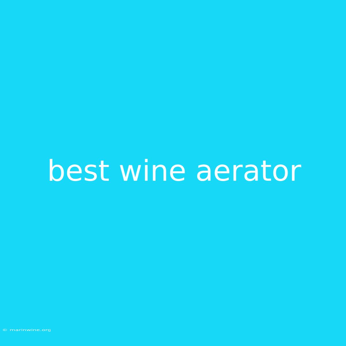 Best Wine Aerator