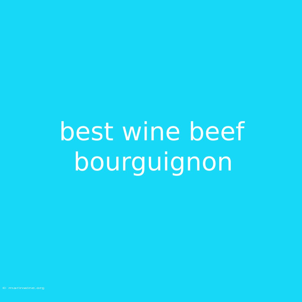 Best Wine Beef Bourguignon