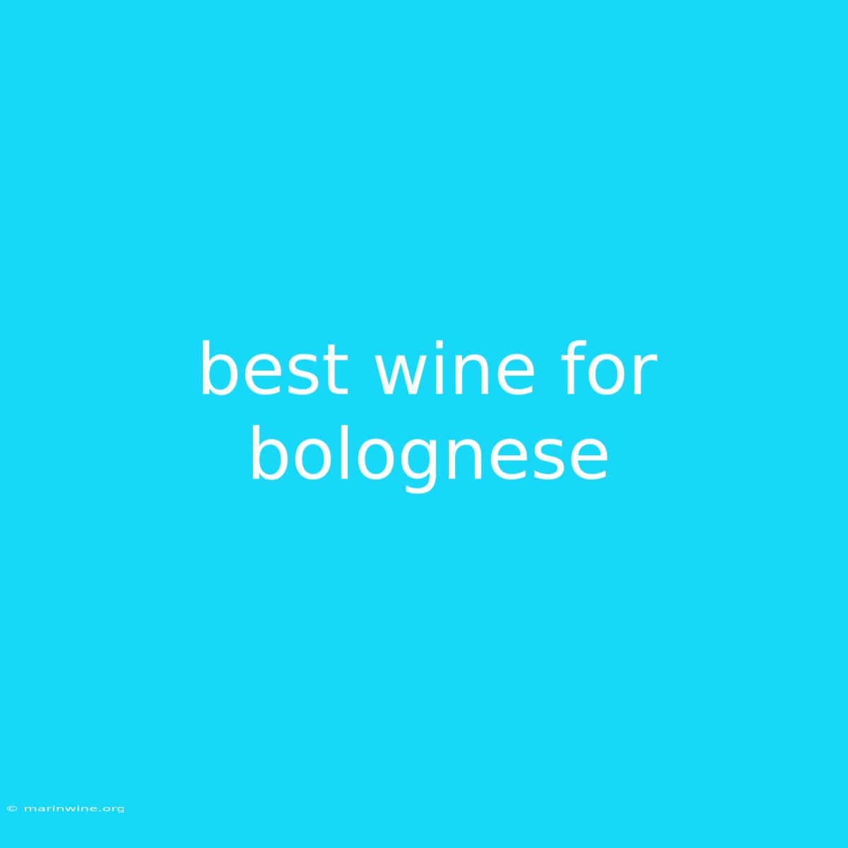 Best Wine For Bolognese